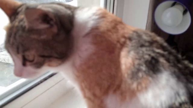 уборка в моей комнате смотреть онлайн