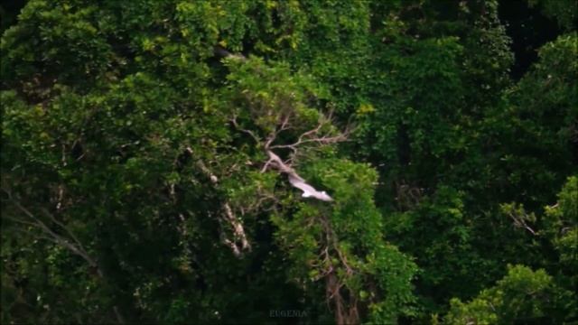 Бизнес Здесь и Сейчас! Бизнес идеи, эффективная реклама. смотреть онлайн