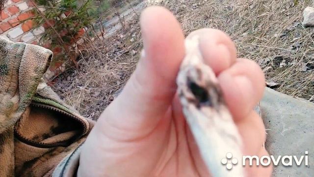 Как можно развести огонь? Разные способы. смотреть онлайн