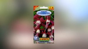 Фуксии: выращивание из семян