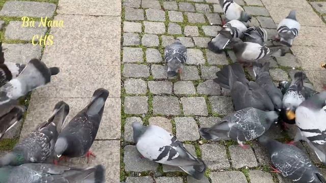 Khám Phá 2 Khu Chợ đồ ăn Thu Hút Khách Nhất Praha