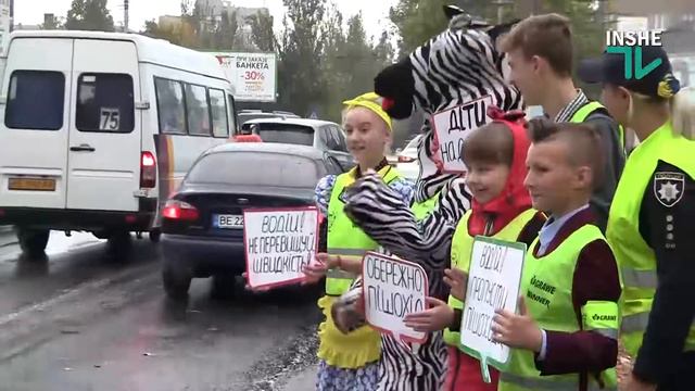В Николаеве по пешеходному переходу ходила зебра смотреть онлайн