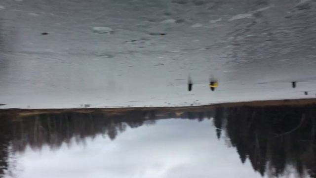 Без приукрас и редакторов ,вид монитора с места лова.Пасмурно ,3,5м .13.12.19