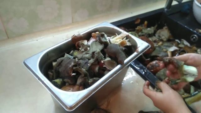 Обработка собранных грибов смотреть онлайн