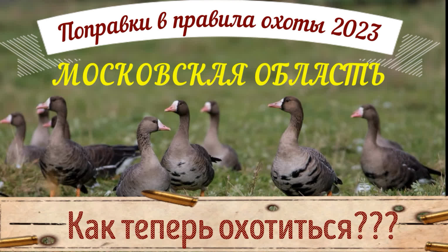 Поправки и Изменения в правилах охоты 2023 в Московской области|Нормы добычи|Расположение скрадков!!