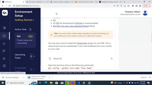SkillReactor (Task ES0: Project setup and onboarding ,Git , npm) смотреть онлайн