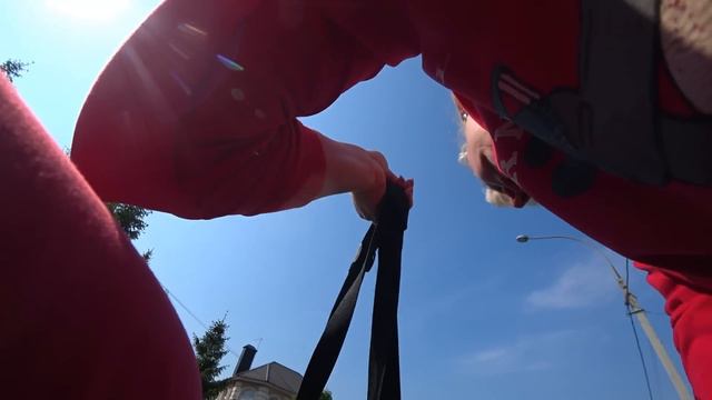 ГАРФИЛД ЛАВРИК И ЩЕНКИ! ВСЕ НОВОСТИ О НАШИХ ПОДОПЕЧНЫХ В КЛИНИКЕ! смотреть онлайн