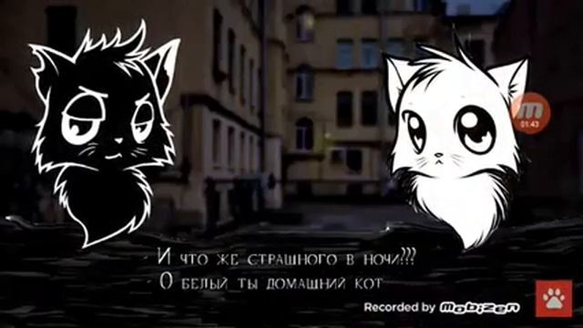 История кота чёрного. И белого и рыжей кошочки смотреть онлайн