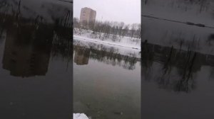Ловля сома на Москве Реке.г.Воскресенск.