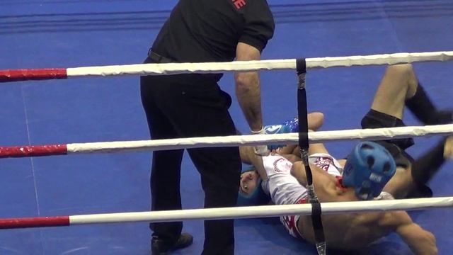 27 июня 18.00 - Кубок молодежи по ММА   2015