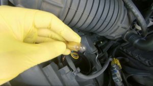 Замена лампочек габаритов  и подсветки номерного знака на Audi A4 B7