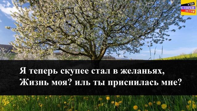 С.А. Есенин " Не жалею, не зову, не плачу " | Учи стихи легко | Караоке | Аудио Стихи Слушать Онлай смотреть онлайн