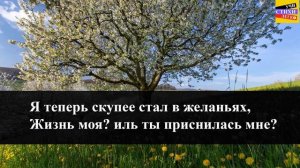 С.А. Есенин " Не жалею, не зову, не плачу " | Учи стихи легко | Караоке | Аудио Стихи Слушать Онлай