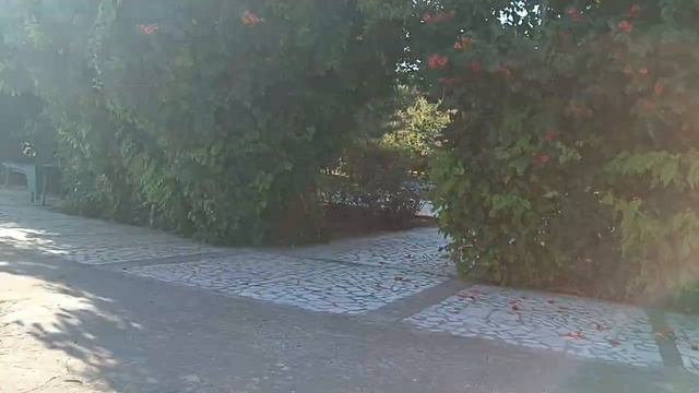 Прогулка по пляжу в середине августа. смотреть онлайн