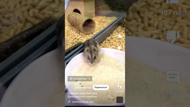 пов:сказали показать телефон А ТУТ 🤣 смотреть онлайн