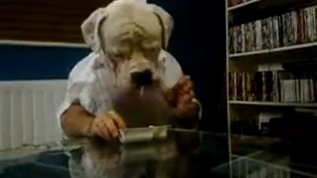 Собака с человеческими руками смотреть онлайн