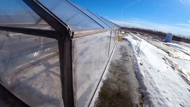 Пленка СВЕТЛИЦА ™ используется более 7 лет | НПФ "Шар" в гостях у питомника "Славянская усадьба" смотреть онлайн
