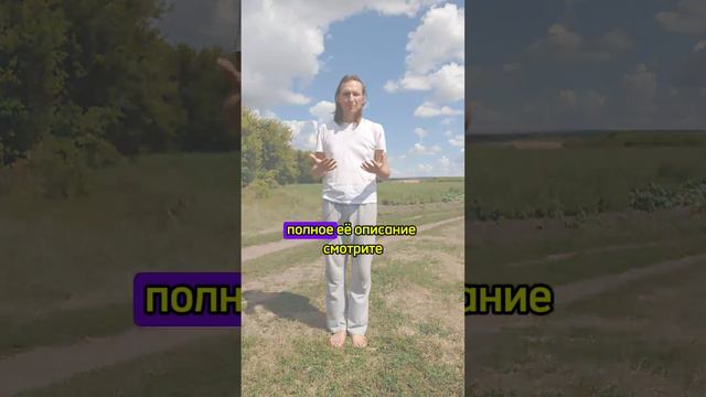 Практика развития внимания на нескольких объектах. Короткий обзор.