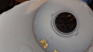 Самый дешевый измельчитель фруктов и овощей в мире своими руками!!!