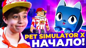 ПЕРВЫЙ РАЗ в ПЕТ СИМУЛЯТОР Х РОБЛОКС! ➢ Pet Simulator X Roblox