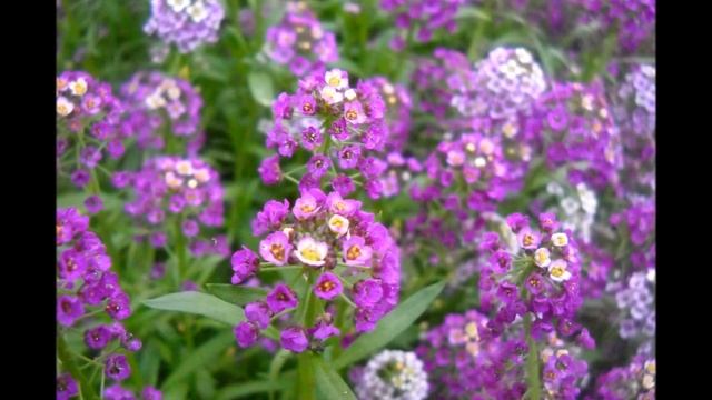 Октябрь 3 4, 2016 Осенний вечер смотреть онлайн