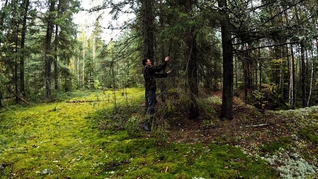 Solo Bushcraft - Natural Shelter - ASMR - Camping In The Russia