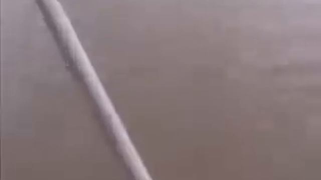 Крокодил отобрал улов рыбалок смотреть онлайн