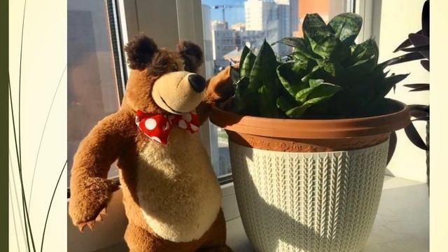 Аренда рабочего места визажиста, бровиста в Бьюти Коворкинг 