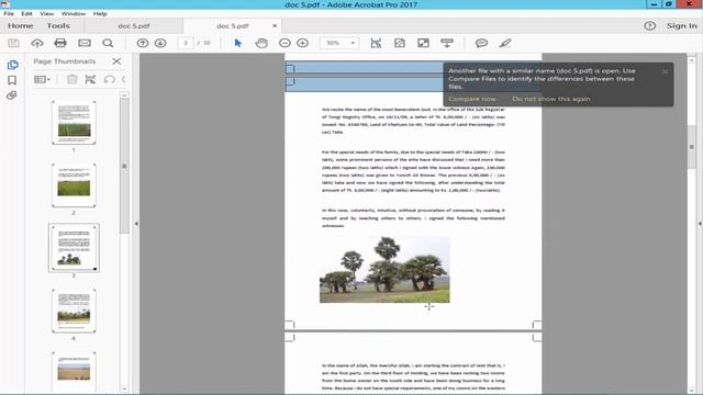 How To Add Bleed Marks In PDF Document In Adobe Acrobat Pro