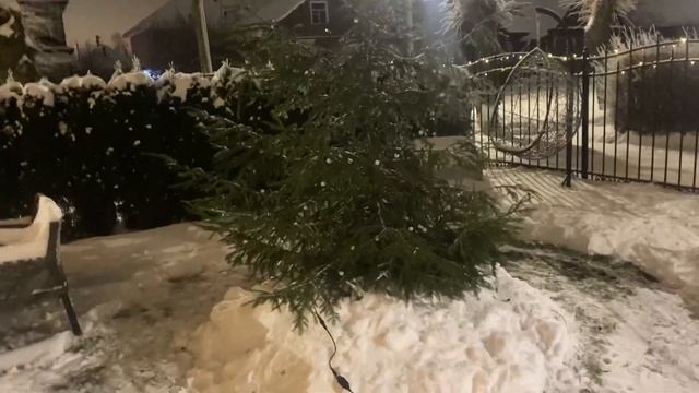 Елка к Новому году смотреть онлайн