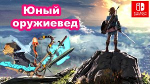 Юный оружиевед. The Legend of Zelda Breath of the Wild. Nintendo Switch