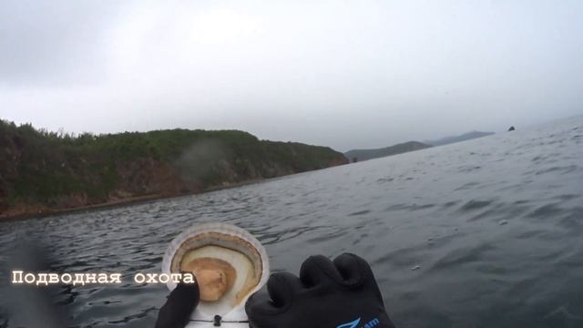 Подводная охота и Дальний восток-одно целое смотреть онлайн