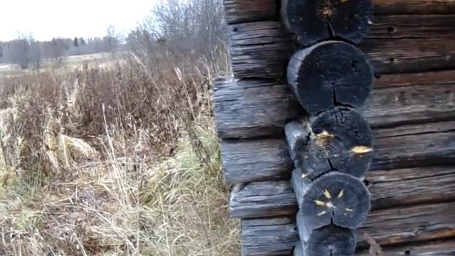 #баня Отношение к гигиене в деревенской России. смотреть онлайн