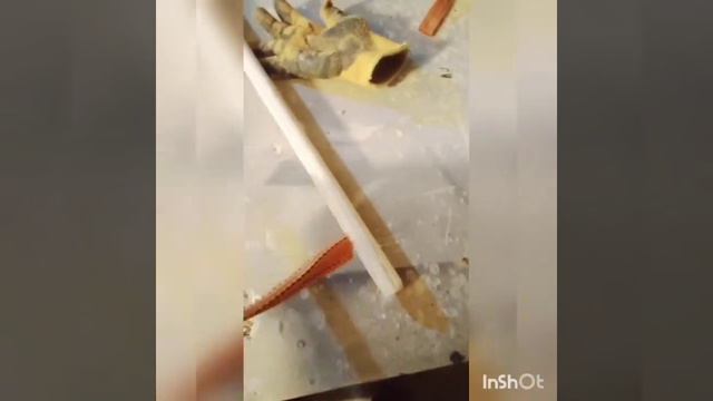 шаңғы жасау әдісі. лыжи со своими руками