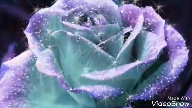 Цветы Валентина смотреть онлайн