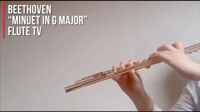 Beethoven “Minuet in G Major” 베토벤 사장조 미뉴에트 Flute 플루트 смотреть онлайн