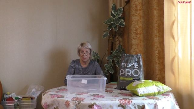 Почему и как правильно замачивать, когда сеять семена перца на рассаду смотреть онлайн