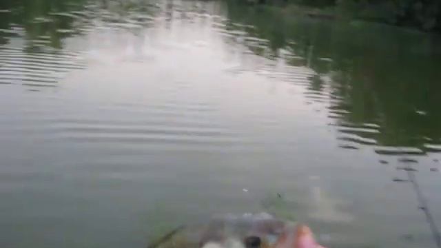 Surprise Rainbow Sighting while Fishing! смотреть онлайн