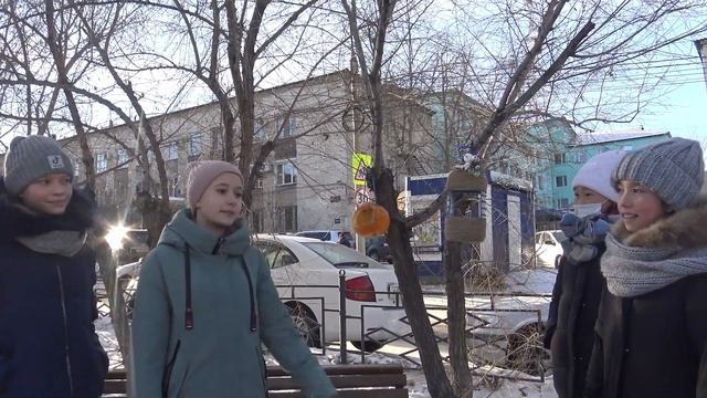 Покормите птиц зимой! смотреть онлайн