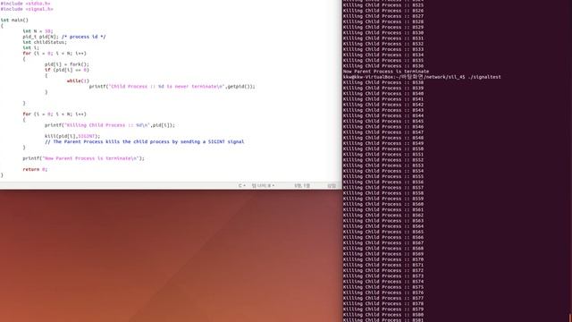 multiple fork and kill process смотреть онлайн