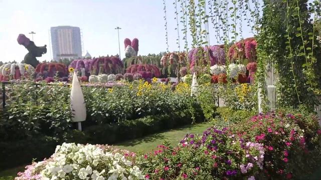 MIRACLE GARDEN DUBAI 2021-Цветочный Рай смотреть онлайн