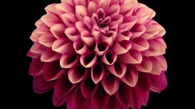 С НАЧАЛОМ ВЕСНЫ! Это Потрясающая, Просто невероятная музыка для души Сергей Грищук! Очень красиво! смотреть онлайн