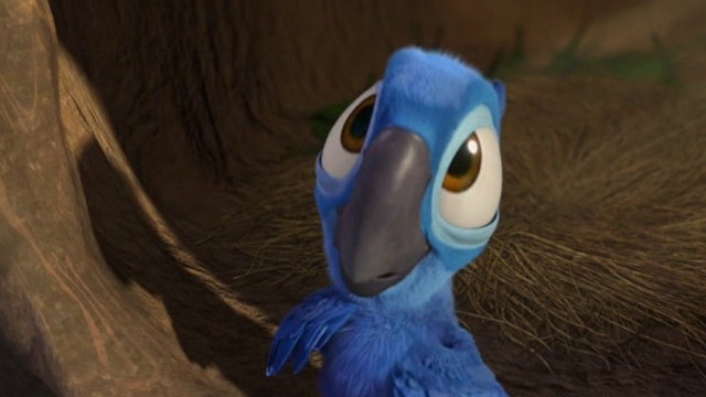 Песня из мультфильма - Рио смотреть онлайн