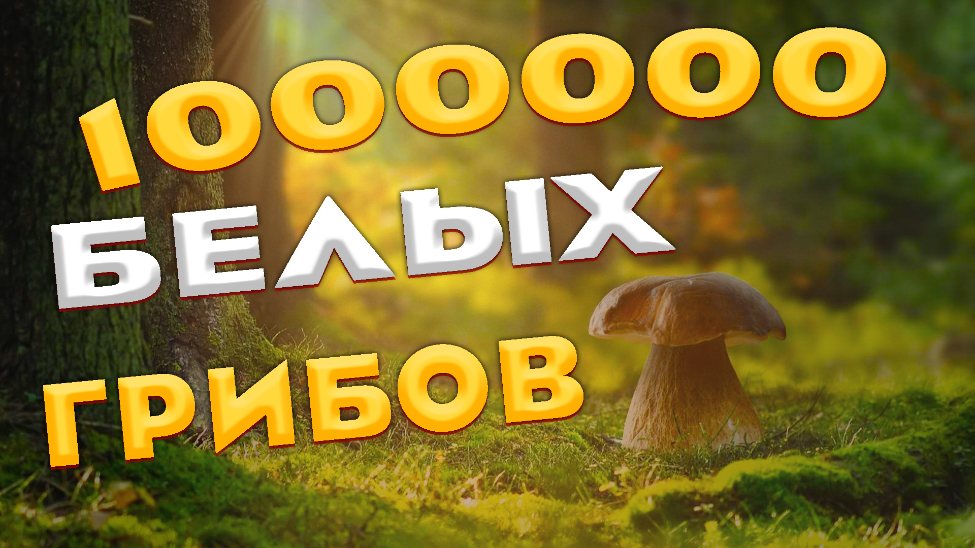 ? Белые грибы в нашем любимом лесу ? Поляны белых грибов на каждом шагу ? МИЛЛИОН БЕЛЫХ ГРИБОВ? смотреть онлайн