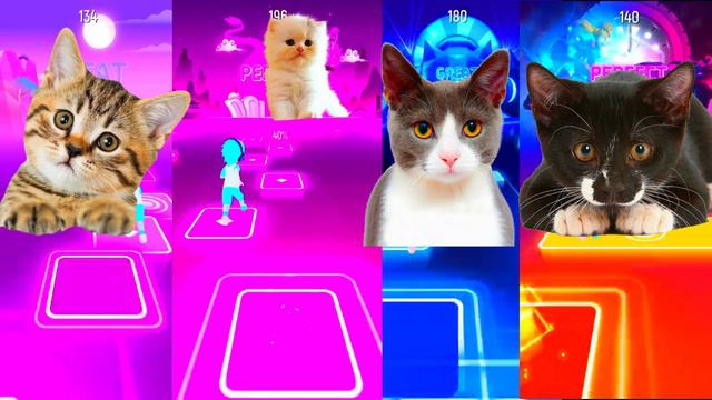 Cute Kitty Tiles Hop Battle - Waka Waka Bongo Cat Fight Challenge | Tiles Hop EDM RUSH смотреть онлайн
