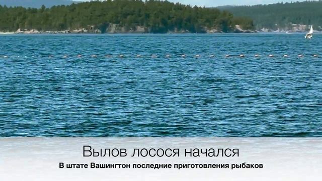 Икорная Роскошь 2023: Новый Сезон Свежей Красной Икры для Гурманов - Global Seafoods Fish Market смотреть онлайн