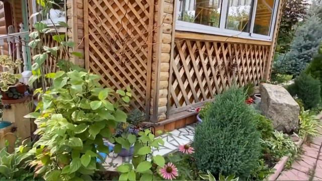 ОБЗОР САДА🌳 смотреть онлайн