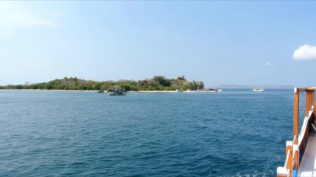 Трип по Национальному парку Комодо 1 день, Flores Island Indonesia смотреть онлайн