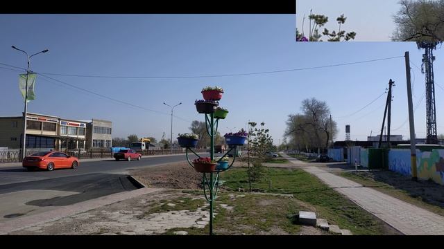 цветы смотреть онлайн