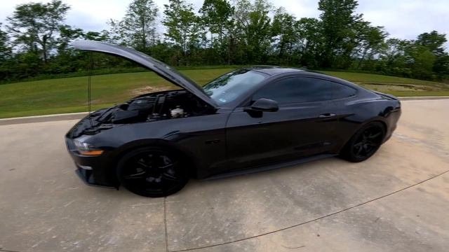 2022 Mustang GT 5.0 Cold Start and Mod List смотреть онлайн